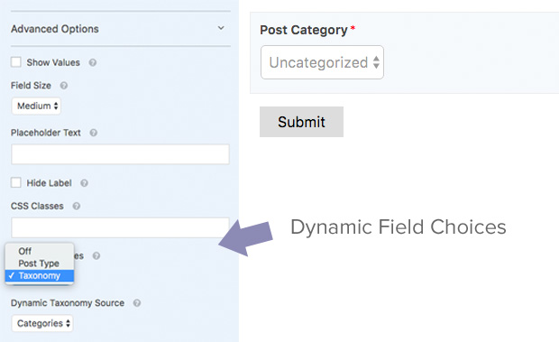 Dynamic Field Choices in WPForms