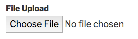 File Upload field