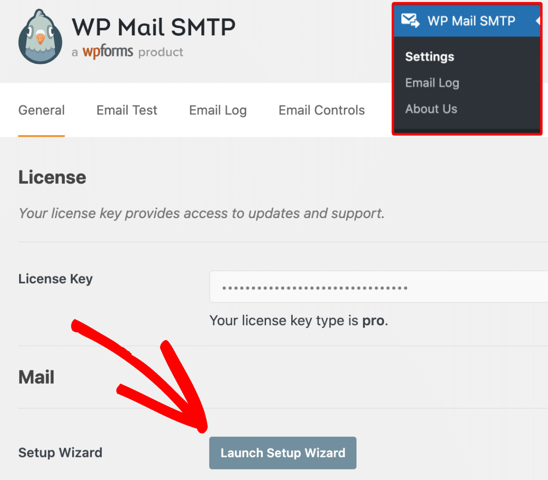 WP Mail SMTP setup wizard