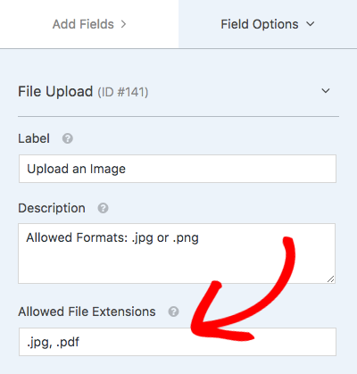 Restrict file extensions allowed for upload field