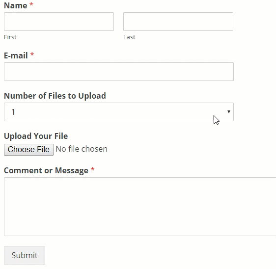 wordpress multiple file upload form