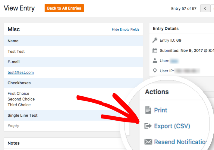 Download CSV for single entry in WPForms