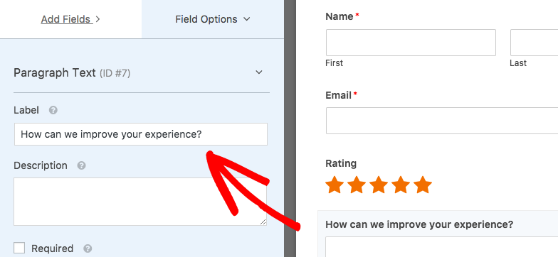 Add paragraph field to form