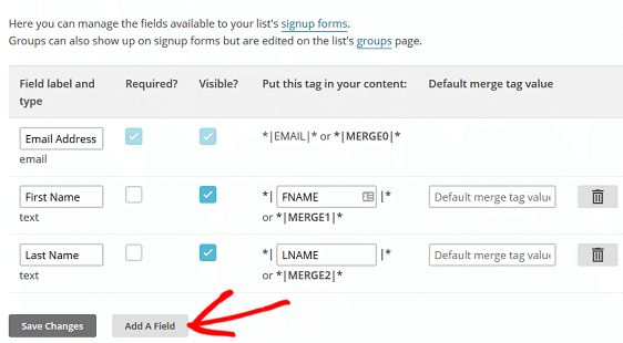 Create MailChimp Custom Fields - MailChimp List Fields and Merge Tags Screen