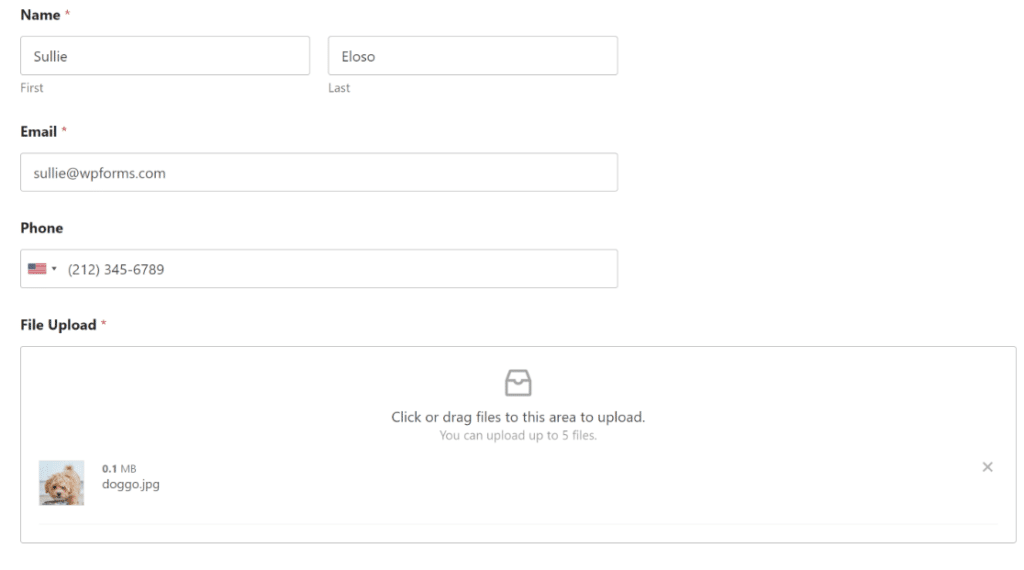 How to Add a Dropbox Upload Form to Your WordPress Website