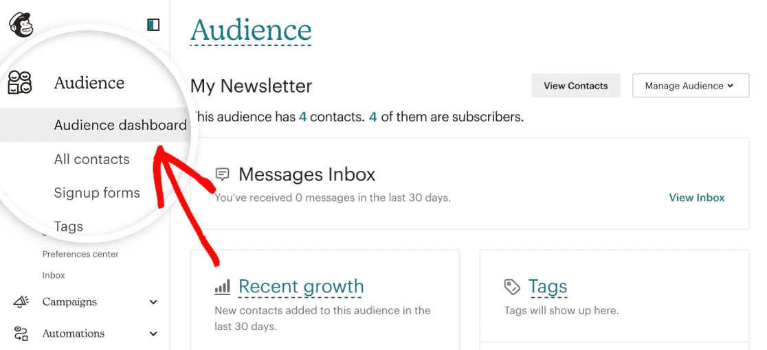 Opening your audience dashboard in Mailchimp
