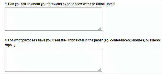 Hilton Hotel Survey Example