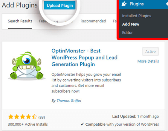 MonsterInsights-Plugin