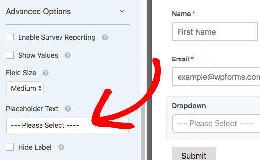 Add placeholder text to Dropdown field