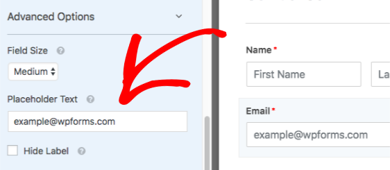 Add placeholder text to Email field