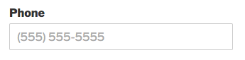 Placeholder text for Phone field