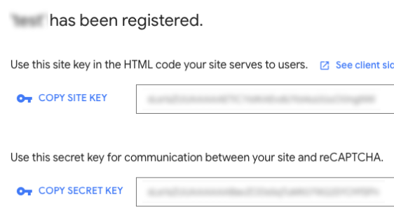 Copy reCAPTCHA keys