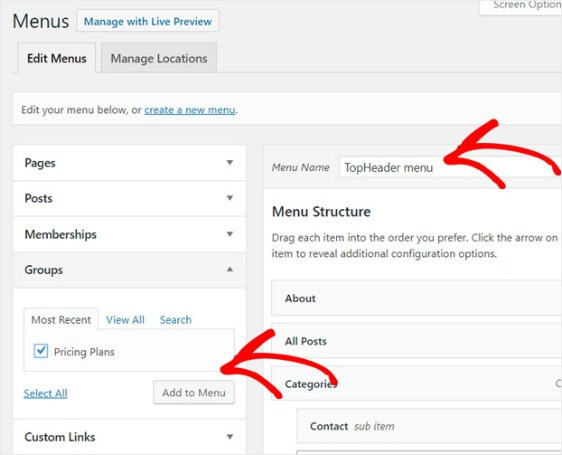 Complete Tutorial: How to Build a Membership Site on WordPress