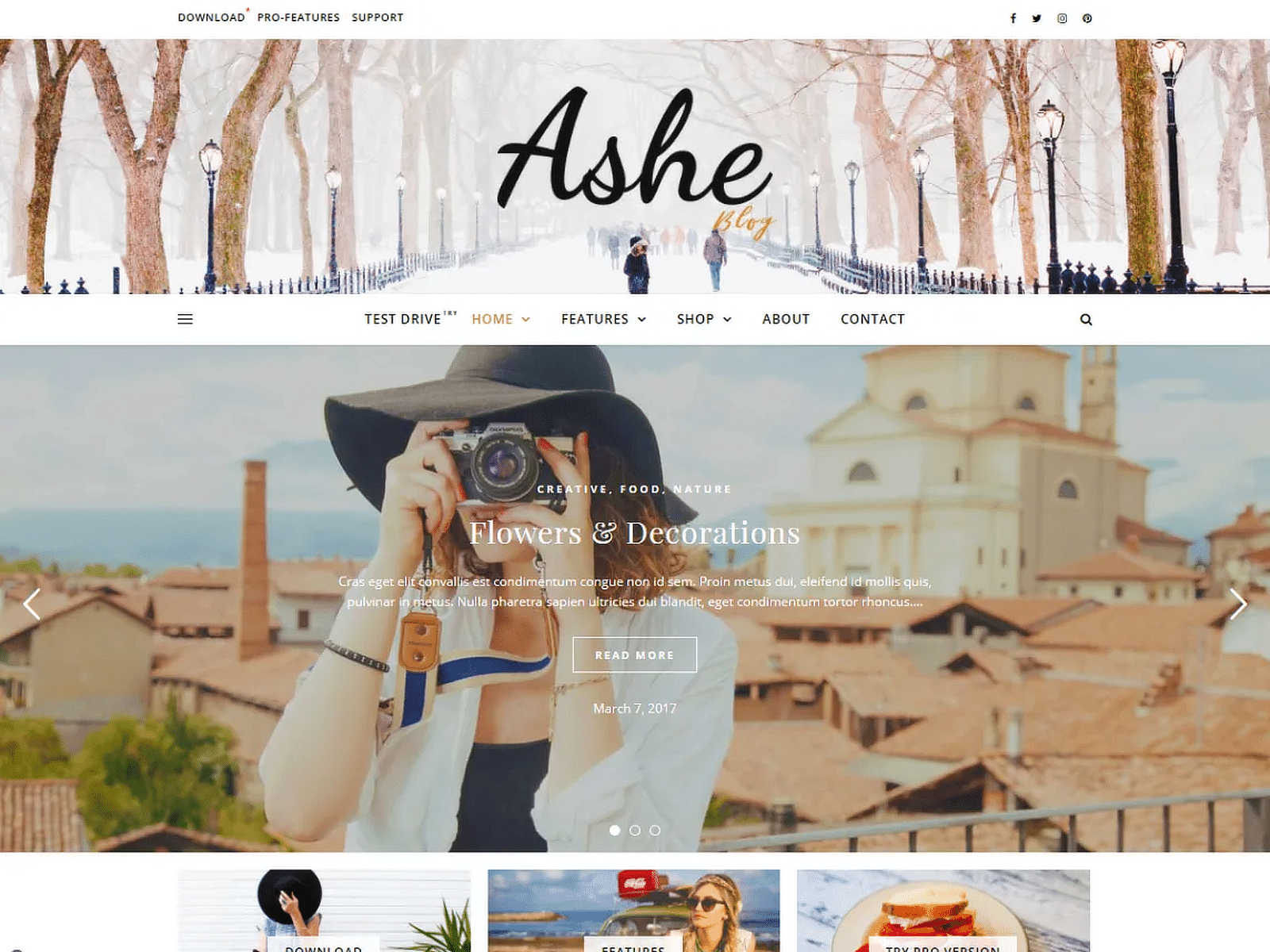 ashe free wordpress theme