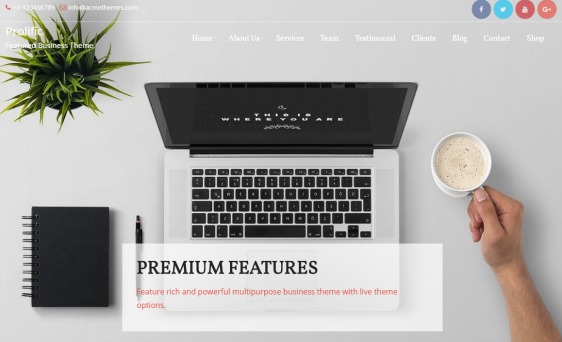best free responsive wordpress themes business website