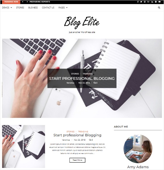 blog elite custom widgets