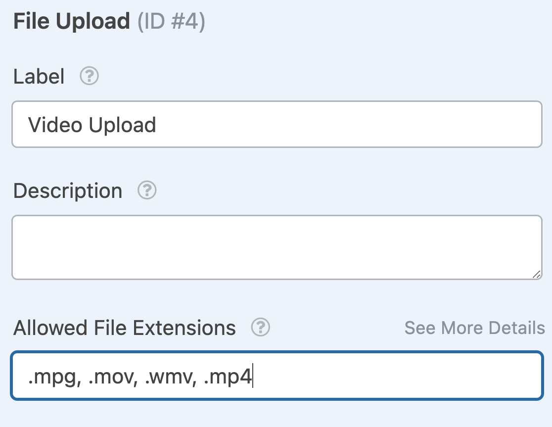 Editing the allow file types for a File Upload field