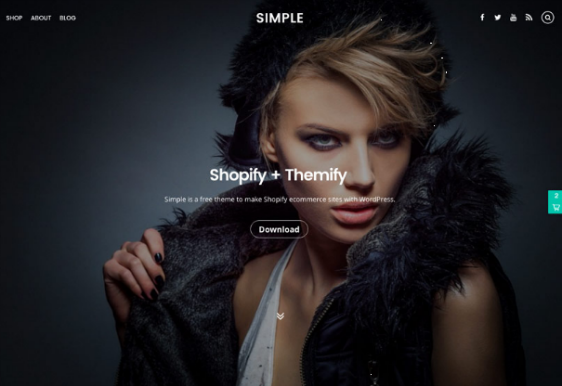 responsive design free theme