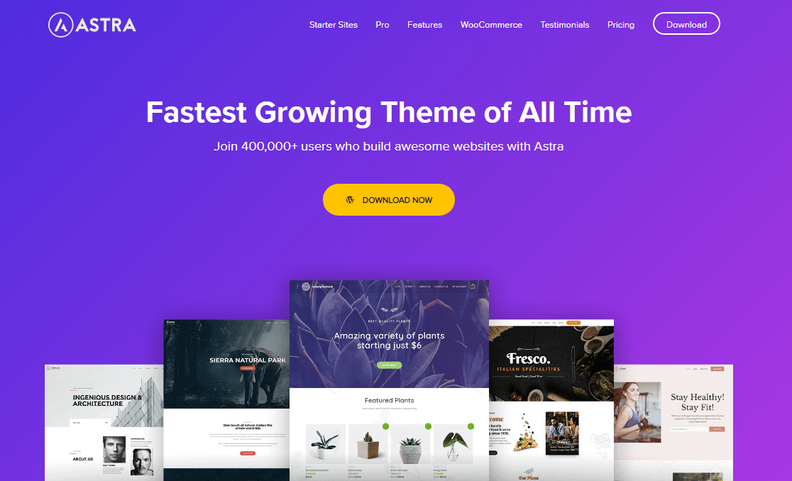 astra theme full width