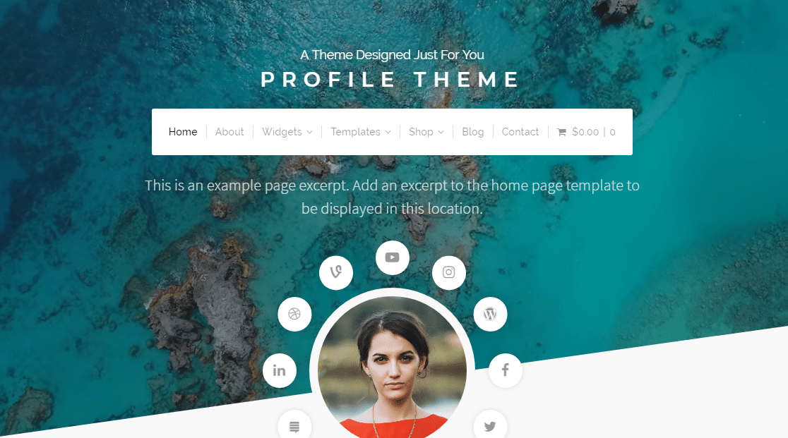 profile resume theme