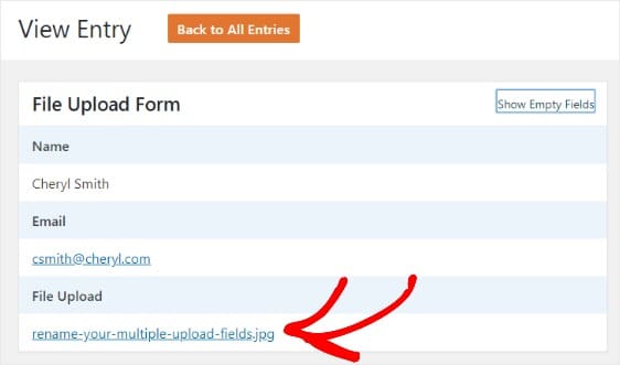 view file upload entry in wpforms