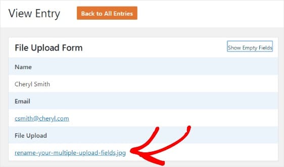 ver entrada de carga de archivos en wpforms