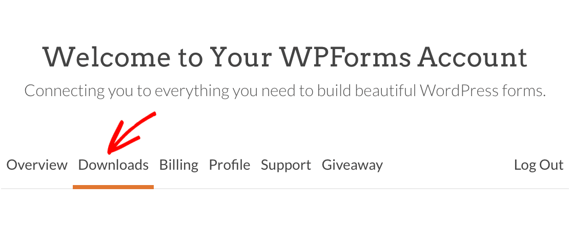 The Downloads tab in the WPForms account area