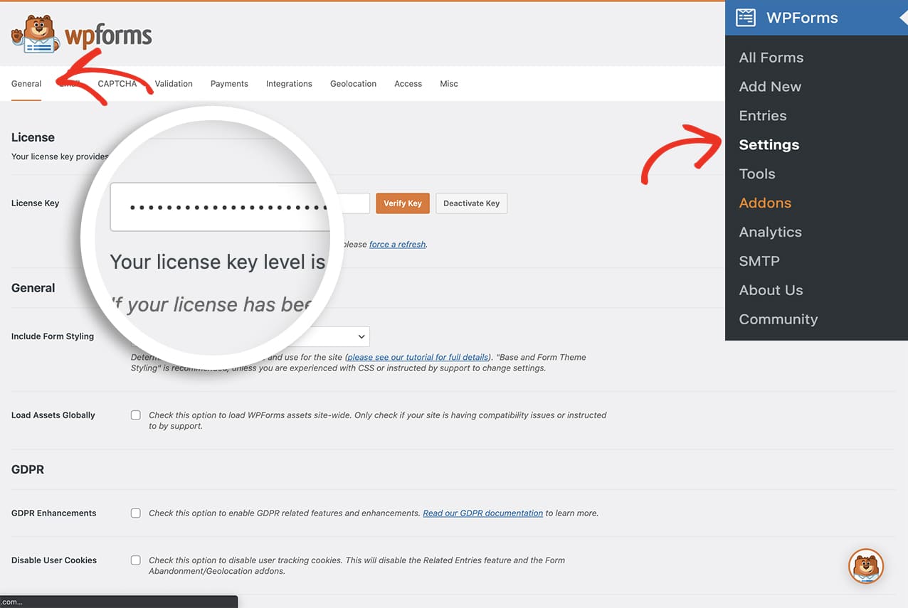 WPForms license key entry