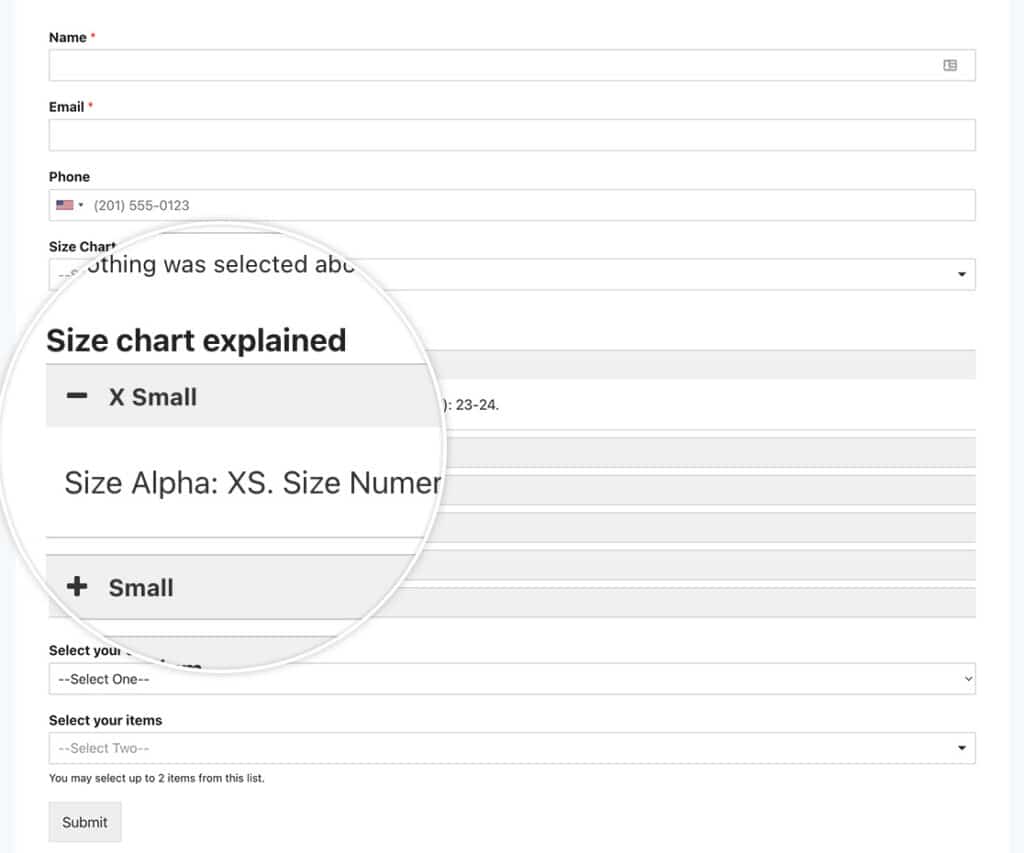 How to Display Shortcodes Inside the HTML Field
