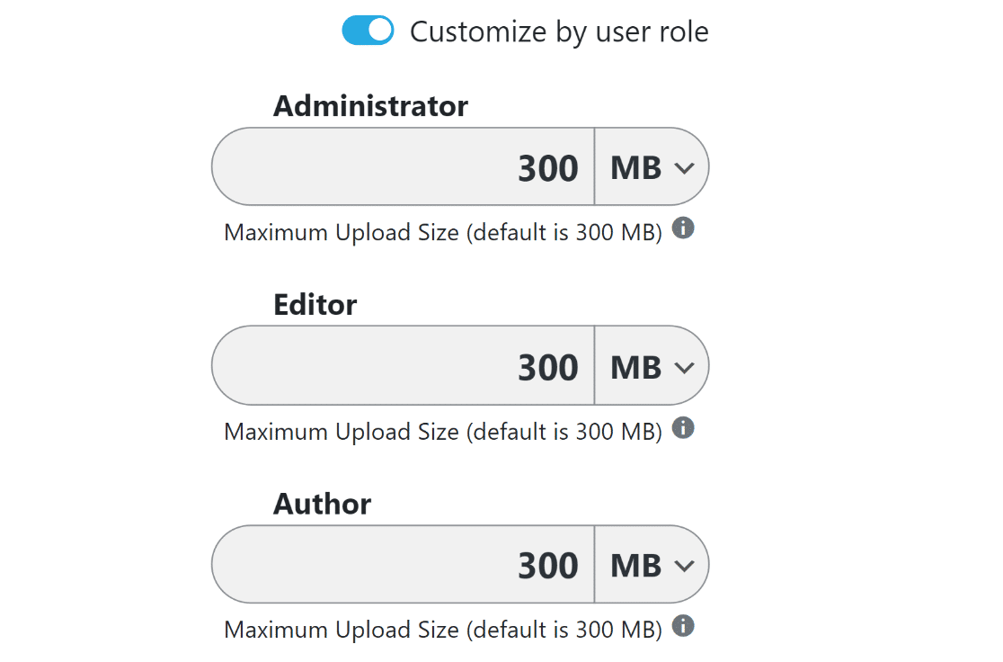 Big File Uploads customize file upload size