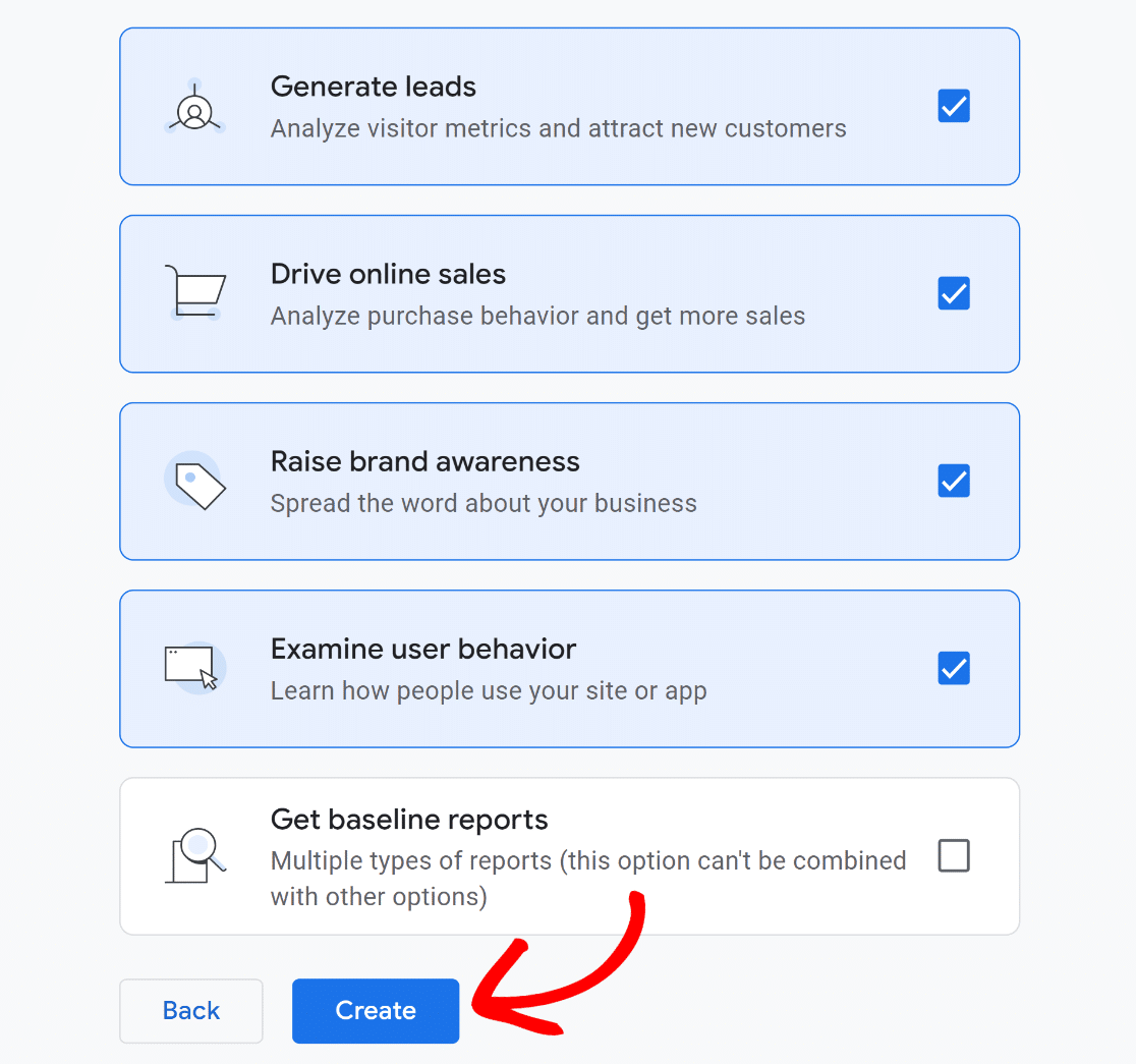 Google Analytics choose business objectives