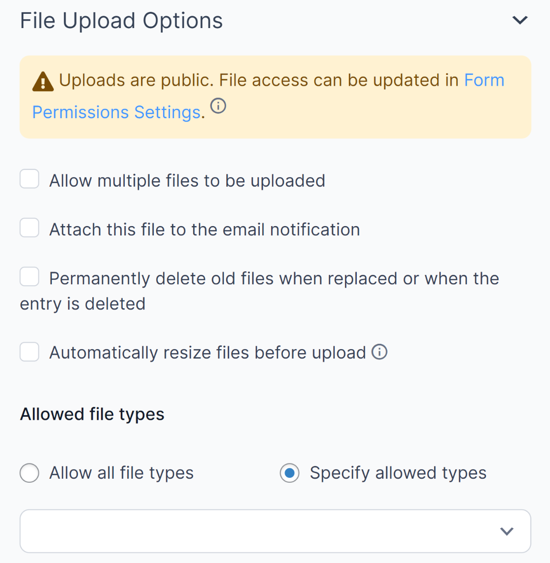 Formidable Forms file upload options