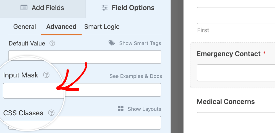 Accessing the Input Mask field in a Single Line Text field's advanced field options