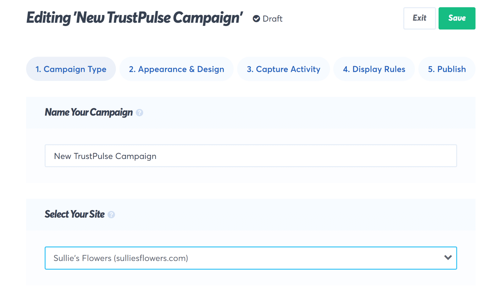 Initiate campaign setup - TrustPulse