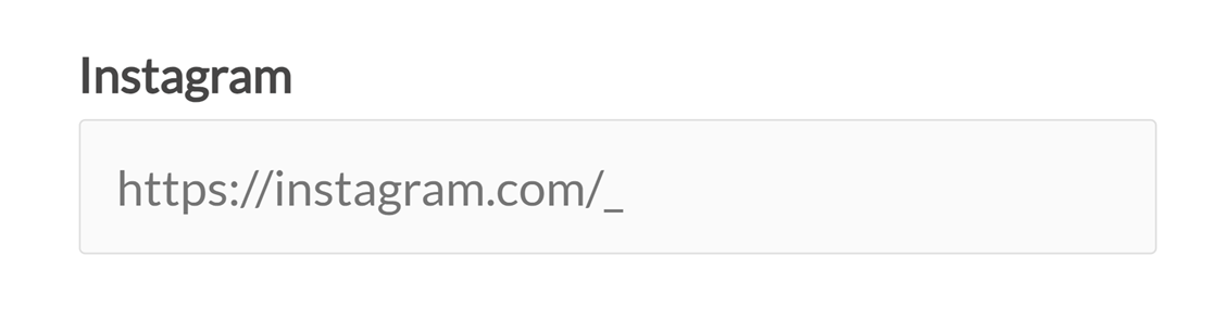 An example of an input mask for an Instagram URL with special characters escaped on the frontend