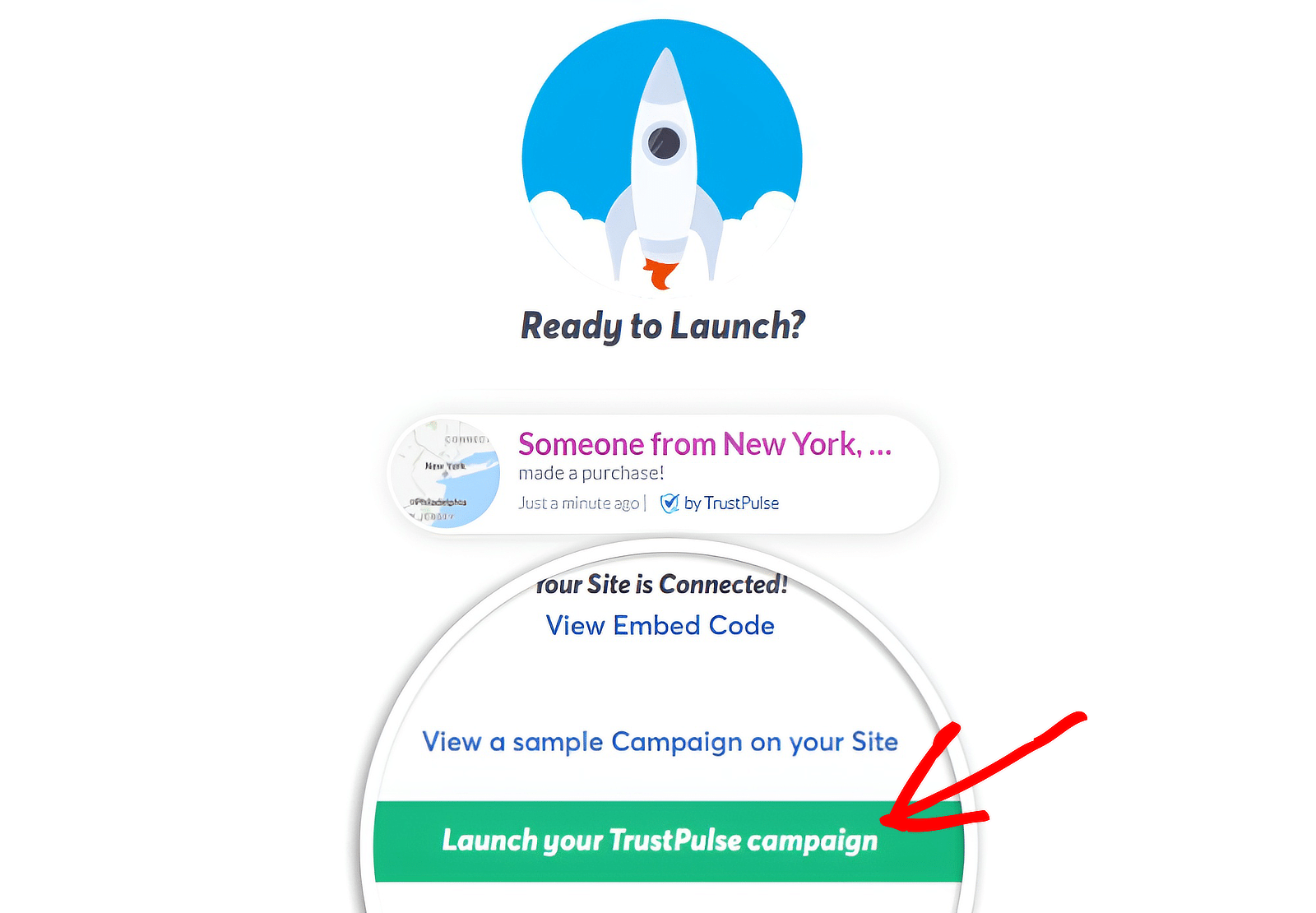 Launch TrustPulse campaign