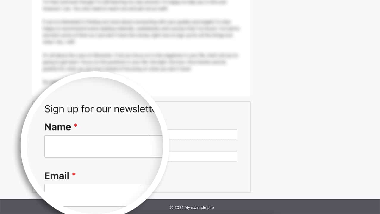 adding the shortcode to the footer.php now allows us to display the newsletter form on every page of our site.