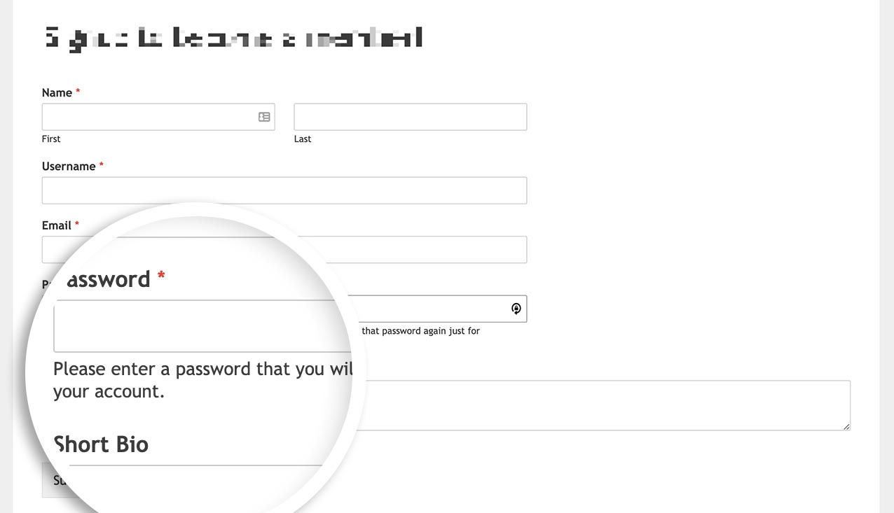 Password field sublabels after code snippet has been added to your site