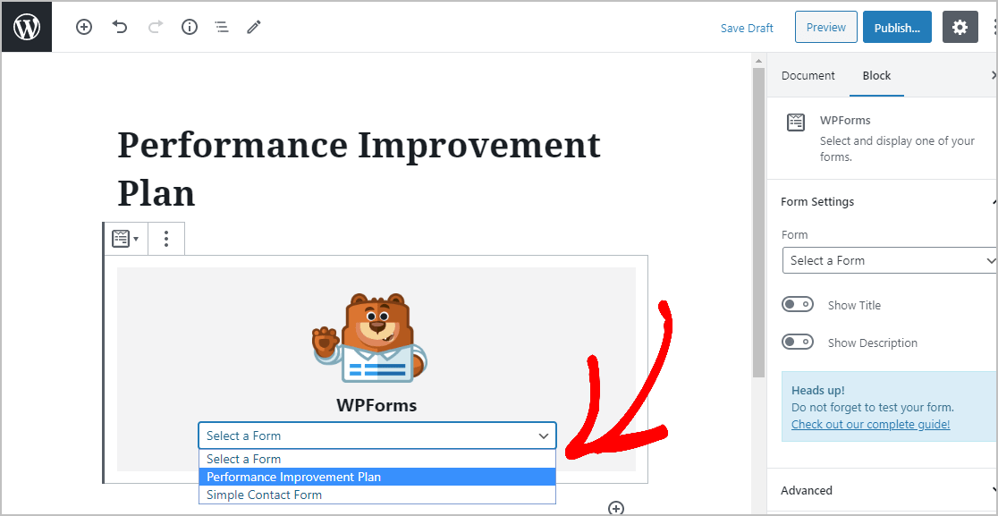 Select Performance Improvement Plan Form