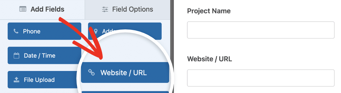 Adding a Website / URL field to a change request form