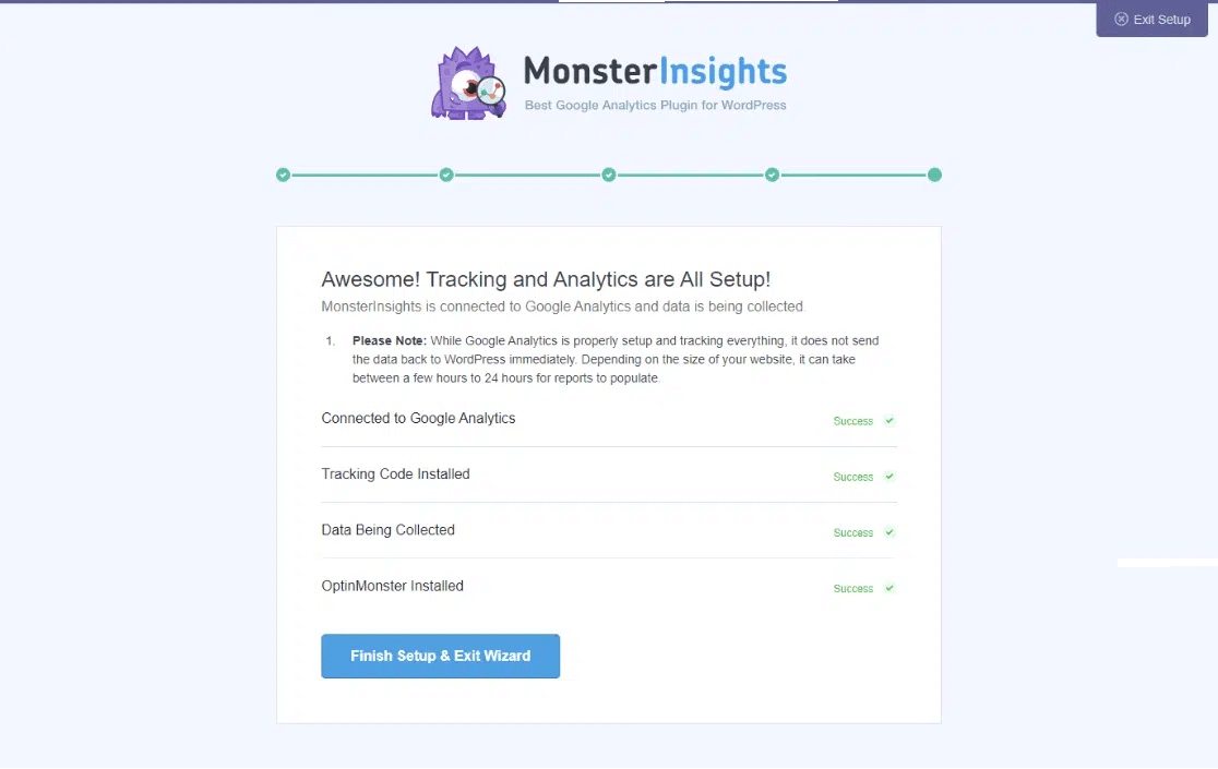 MonsterInsights success message