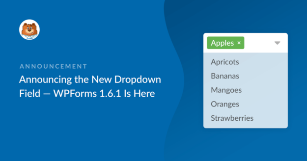 announcing-the-new-dropdown-field-wpforms-161-is-here_b