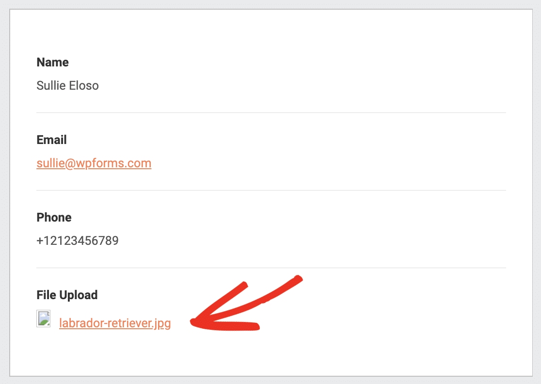 An image file link in an email notification