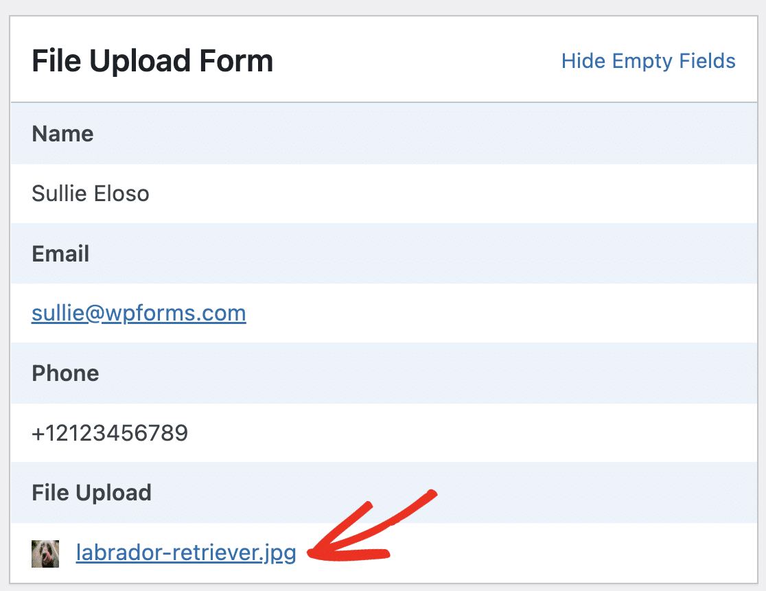 Viewing a file uploaded to a form