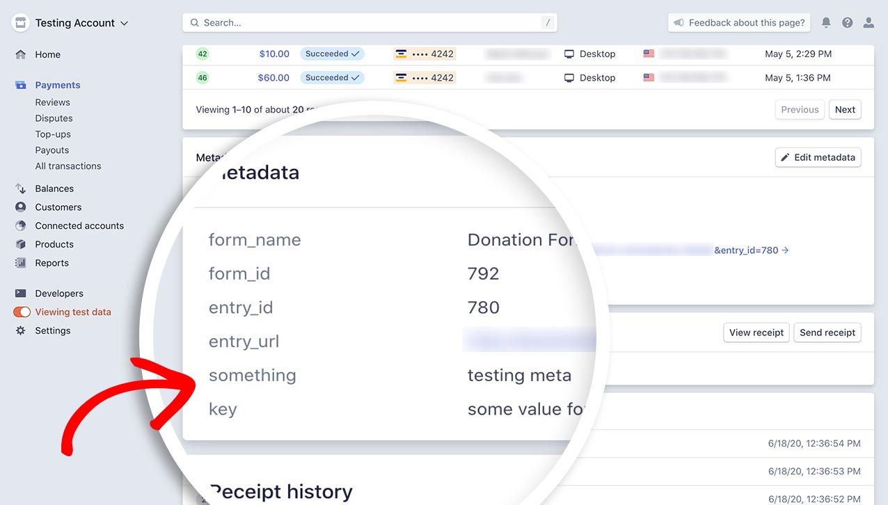 You now see the metadata sent to Stripe when the payment is processed