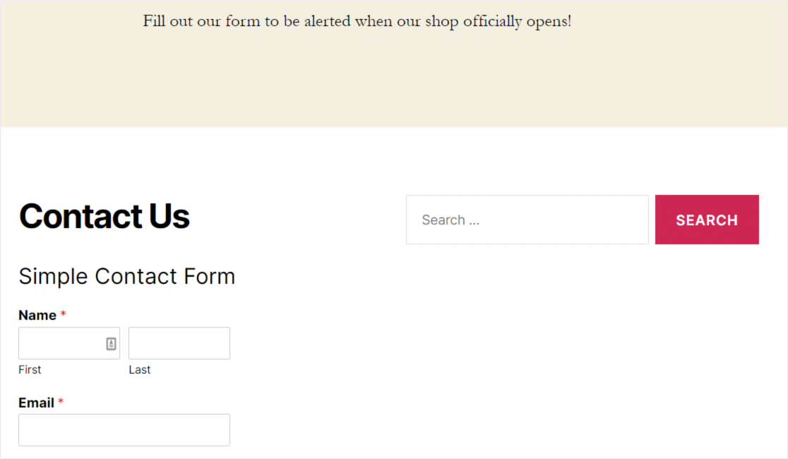 contact us form in footer widget