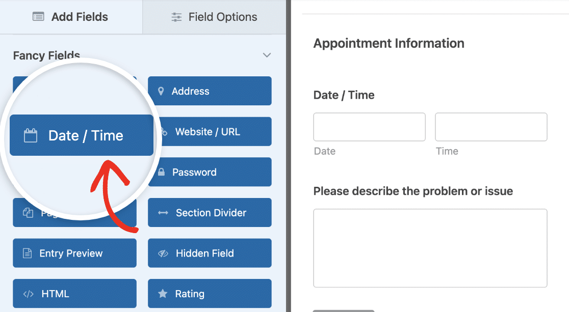 Adding a Date / Time field to a veterinary intake form