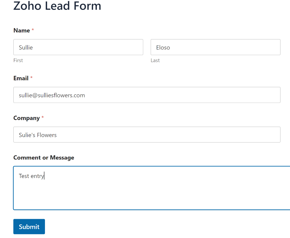 Zoho test form entry