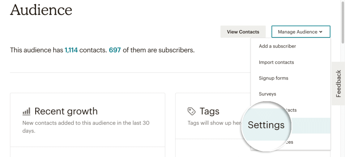 Audience settings in Mailchimp