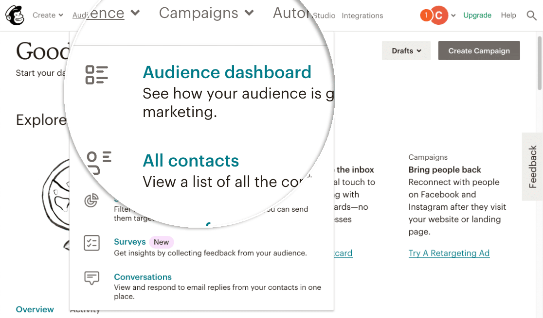 Mailchimp Audience Dashboard for custom tags